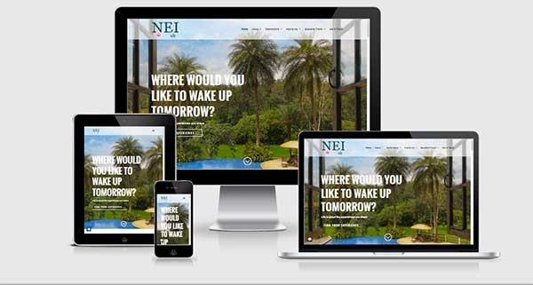 NEI UK website composite screenshot